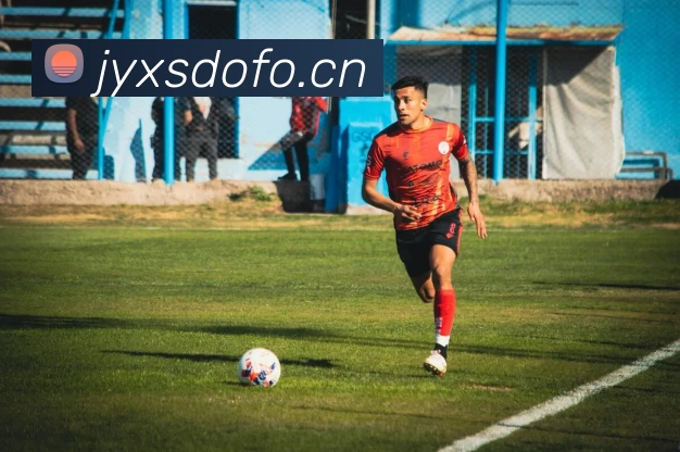 星空体育综合官网平台生态图